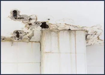 West Palm Beach Emergency Restoration West Palm Beach, FL 561-408-9703 - cont-img-water-damage-3