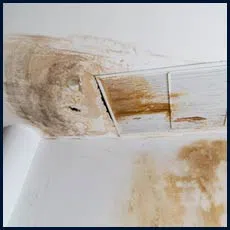 West Palm Beach Emergency Restoration West Palm Beach, FL 561-408-9703 West Palm Beach Emergency Restoration West Palm Beach, FL 561-408-9703 - sb-water-damage